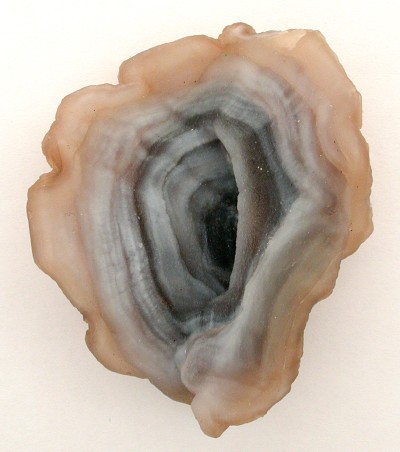 gem show tucson
