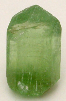 gem show tucson