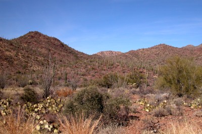 gem show tucson