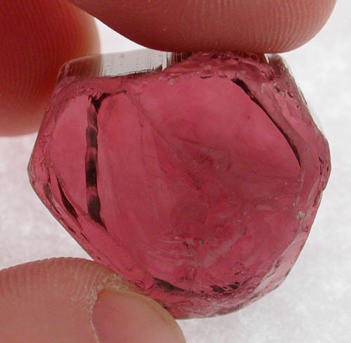 gem show tucson