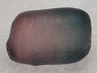 gem show tucson