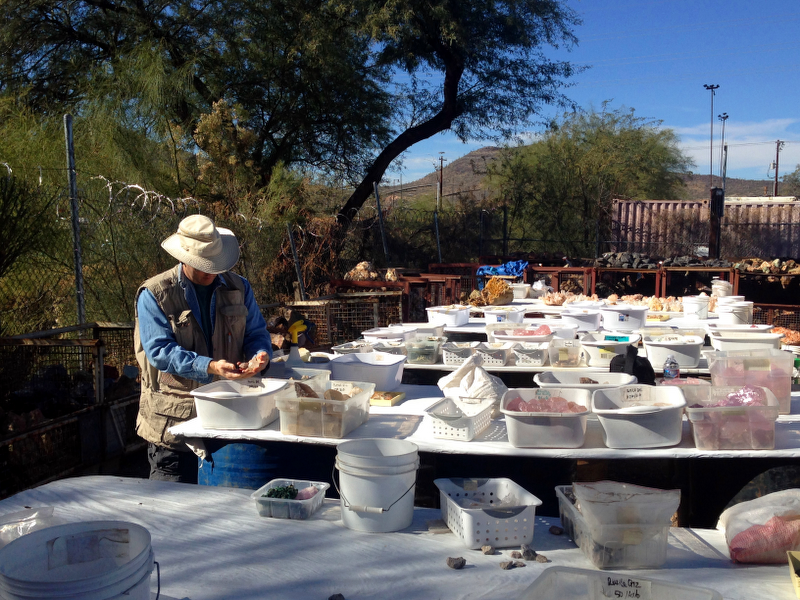 tucson gem show riverpark